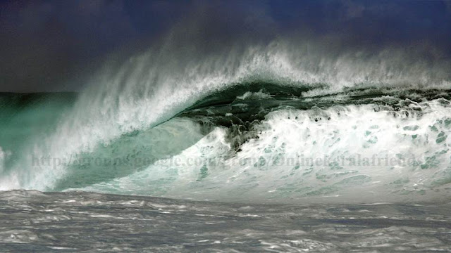 Bonzai Pipeline