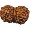 GAURI SHANKAR RUDRAKSHA