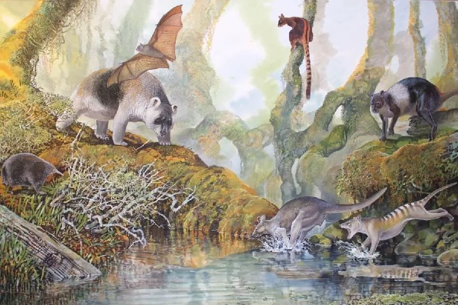 Las megafaunas de paupua Nueva Guinea se extinguieron mucho después de lo que pensábamos