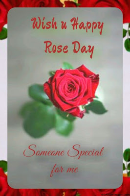 Rose Day Quotes Images