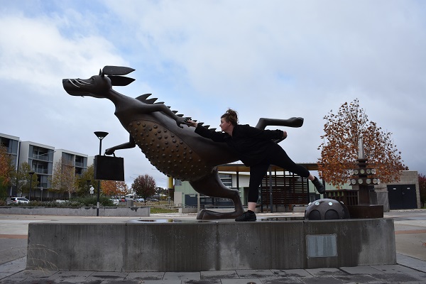 Bunyip by Ann Ross in Gungahlin