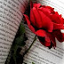 Rose Flower Wallpaper-Rose Wallpapers Hd.