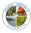 Call For Interview at Nyasa District Council 2022