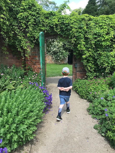 Little boy walking down a stony path, surrounded by flowers and heading towards an old fashioned gate