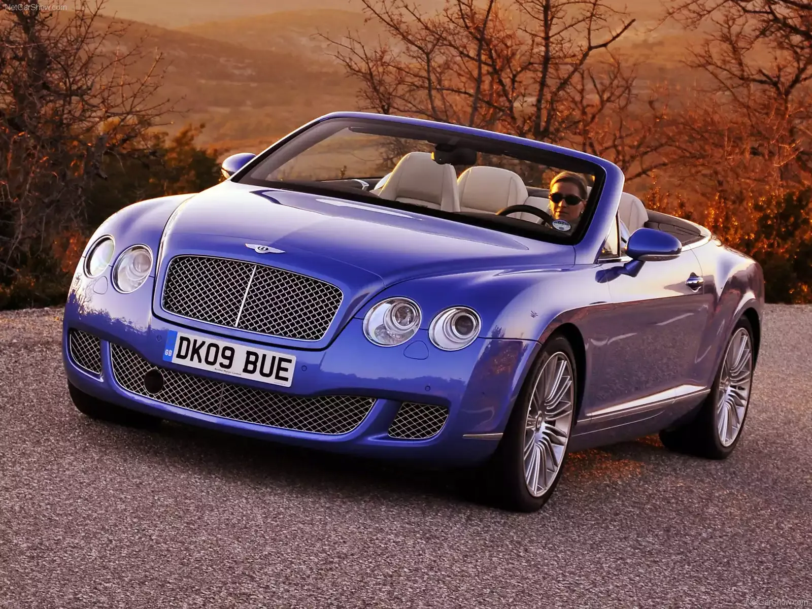 Hình ảnh xe ô tô Bentley Continental GTC Speed 2010 & nội ngoại thất