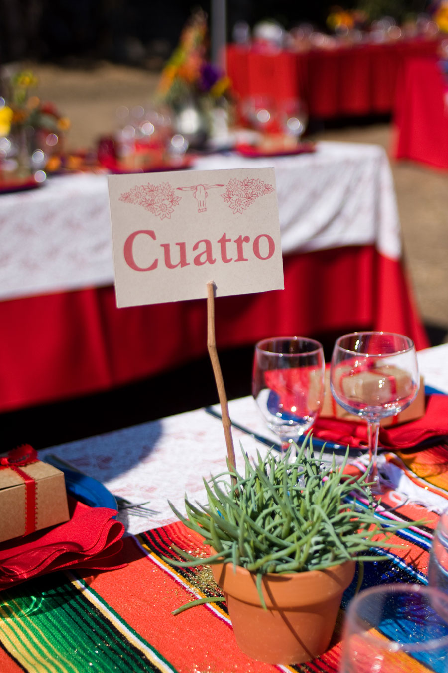 paper lanterns outdoor wedding