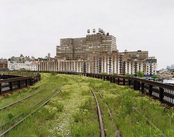 High Line Park - Newyork, Amazing Photos...