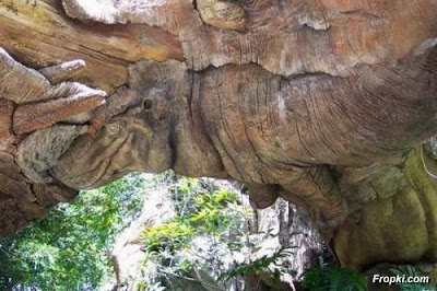 Animals Carved Tree of South African