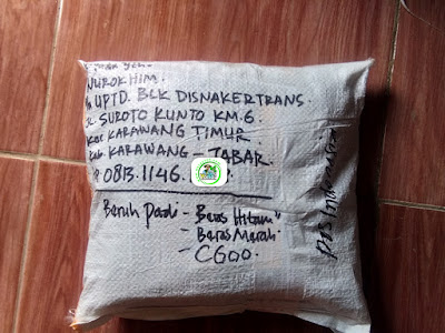 Benih Padi Pesanan  NUROKHIM Karawang, Jabar.  Benih Sesudah di Packing