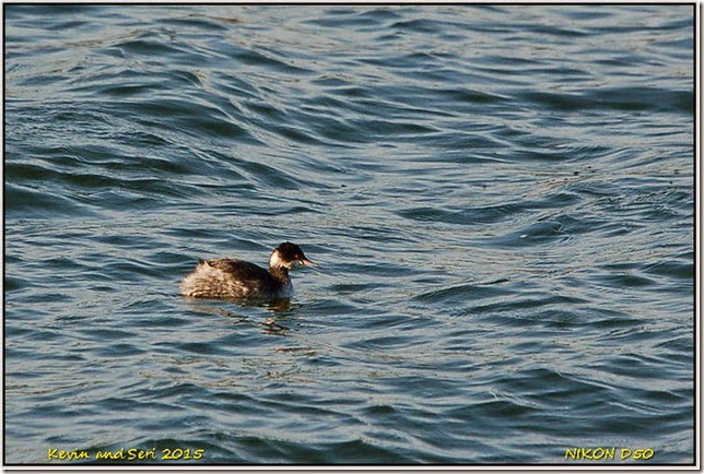 Draycote Waters - February Draycote Waters - February