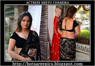 Neetu-Chandra-hot-saree-photos