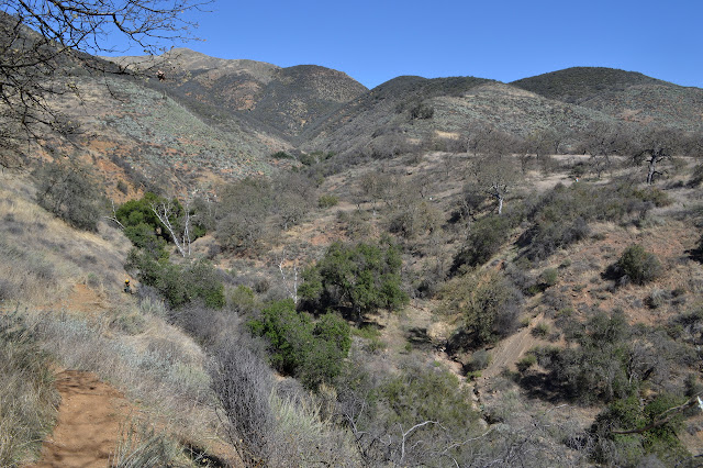 big cleft where a creek flows through soft land