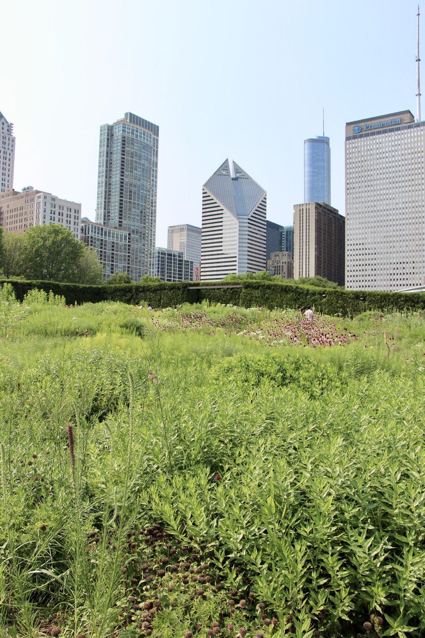 chicago gardens, the loop, explore chicago