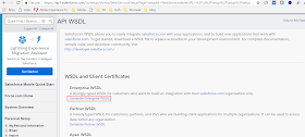 generate_saleasforce_enterprise_wsdl