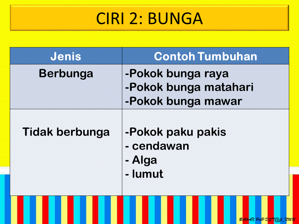 Dunia Sains dan Teknologi (Belajar dengan Ceria): DST 