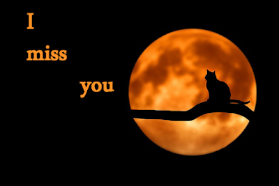 I miss you images wallpaper photo free download