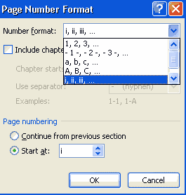 number format page number