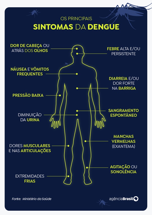 Estado do Rio de Janeiro decreta epidemia de dengue