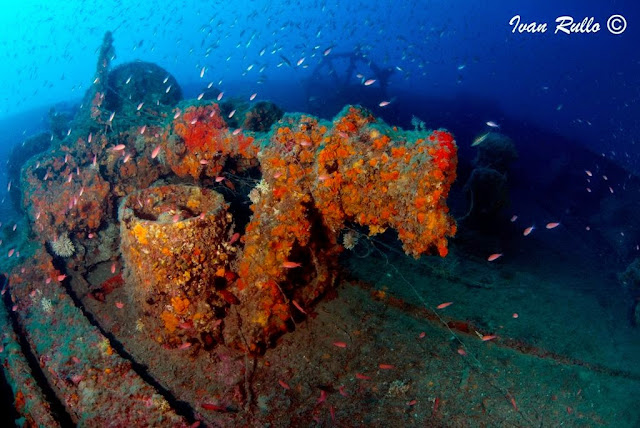 NAVE PASUBIO