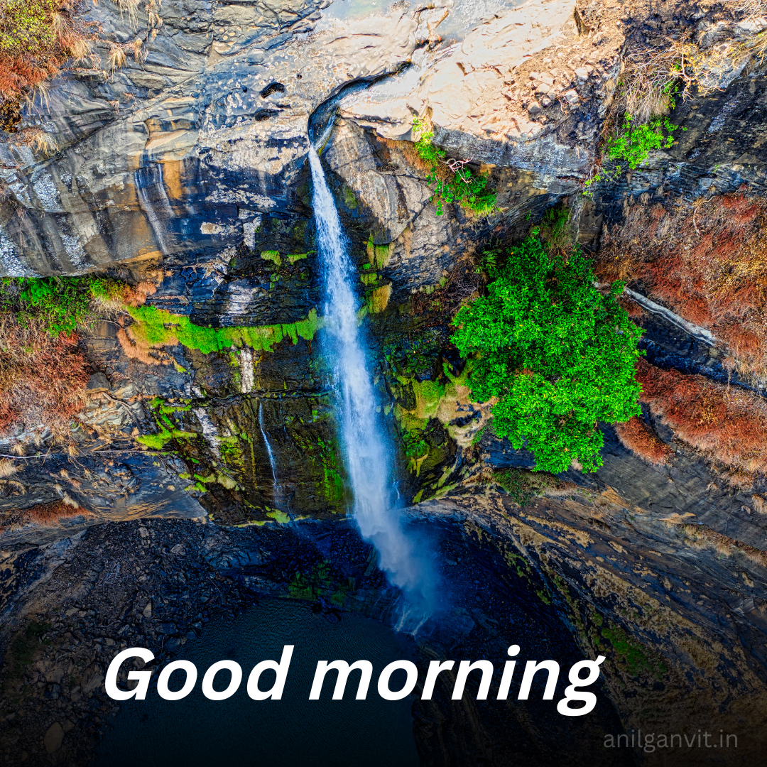 nature morning images