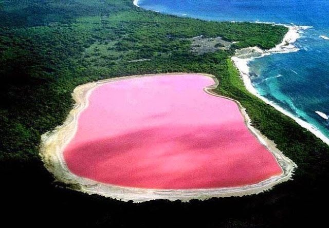 Hillier Pink Lake in Australia, Island Australia