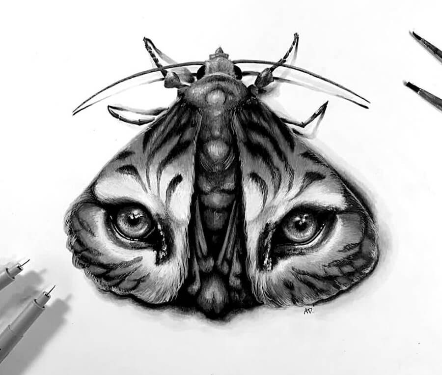 01-Moth-with-tiger-eyes-Animal-Drawings-Alyse-Dietel-www-designstack-co