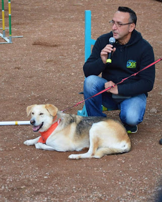 ΚΥΘΗΡΑ:ΣΥΛΛΟΓΟΣ ΠΟΡΤΟΚΑΛΙΑ ΚΑΡΑΒΑ,Σεμινάριο συμπεριφορικής εκπαίδευσης σκύλων 1&2 Ιουνίου