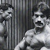 HEAVY DUTY DE MIKE MENTZER EN PDF. DESCARGA CLICK AQUI