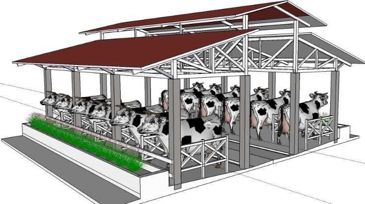 Top Info Desain Kandang Sapi Perah Modern