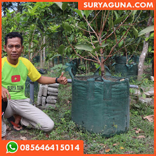 planter bag dari suryaguna 085646415014