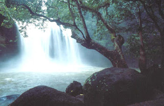 Khao Yai National Park