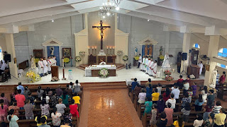 St. Vincent Ferrer Parish - Jagnaya, Jamindan, Capiz