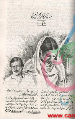 Saya e deewar bhi nahi novel pdf by Huma Baig