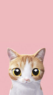 cat pink wallpaper for android