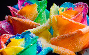 Rainbow Roses (happy roses rainbow glitter by happyroses)