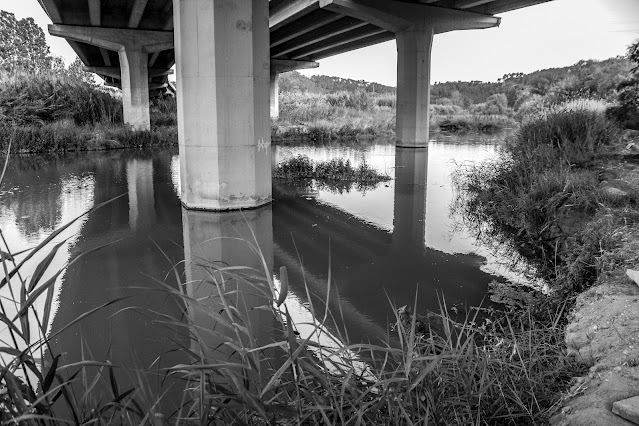 Rio Llobregat, ubicación Castellbisbal.