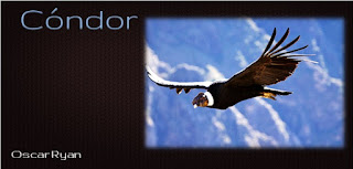 http://relatosdemipequenabiblioteca.blogspot.com.es/2015/09/condor.html