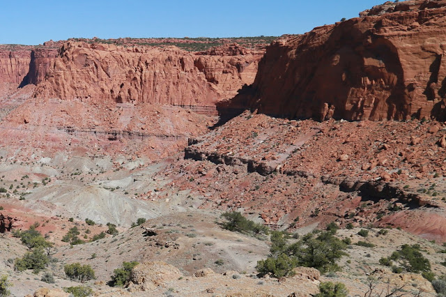 Slope in Capitol Reef National Park, Utah. 2014 photo by author.