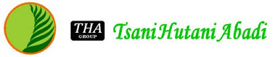 Tsani Group