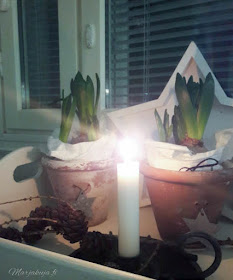 joulunodotus asetelma hyasintti kynttilä