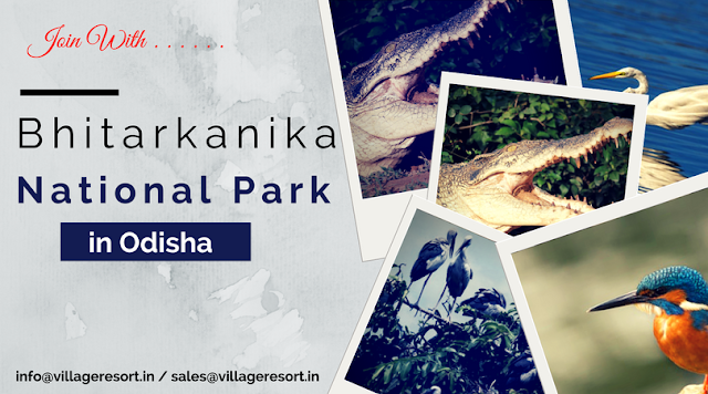 Bhitarkanika National Park in Odisha