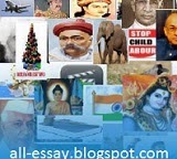 Short Essay on 'Bhai Dooj' (80 Words)