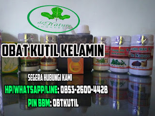 Obat Kutil Kelamin