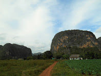 viñales cuba