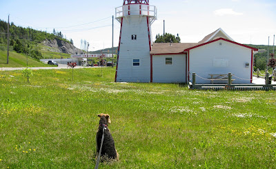 Amy at the Cornerbrook Tourism Centre