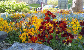 Chepstow flowers