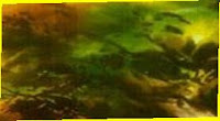 কৃষি আলোচনা- 'বরেন্দ্রভূমির কৃষকের বীজবিদ্রোহ' by পাভেল পার্থ