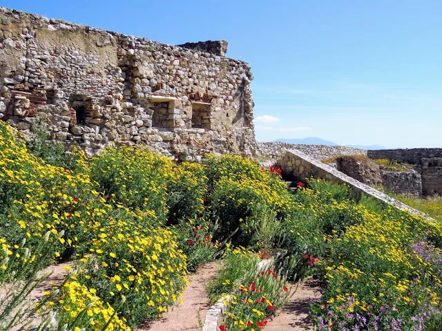 Places to visit in Nafplio: Akronauplía blanketed in wildflowers