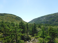 Huguenot Head and Dorr Mountain seen from Robin Hood Hill, Acadia