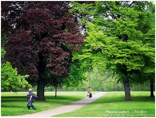 Camera Photo London Hype Park Trees